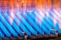 Pillaton gas fired boilers
